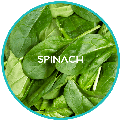 Spinach