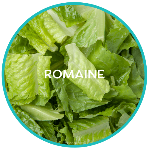 Romaine